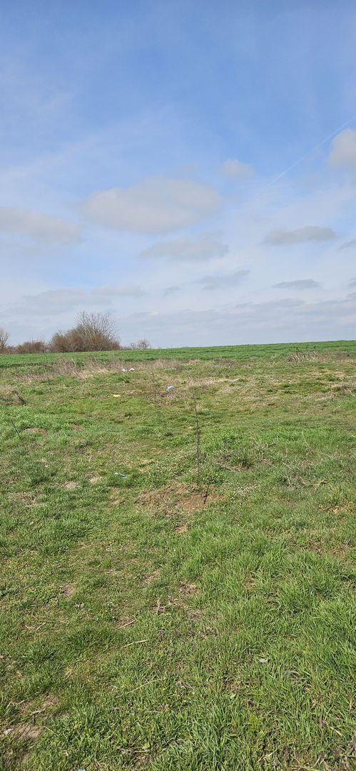 Afumati Balta Batal teren de vanzare 7000 mp