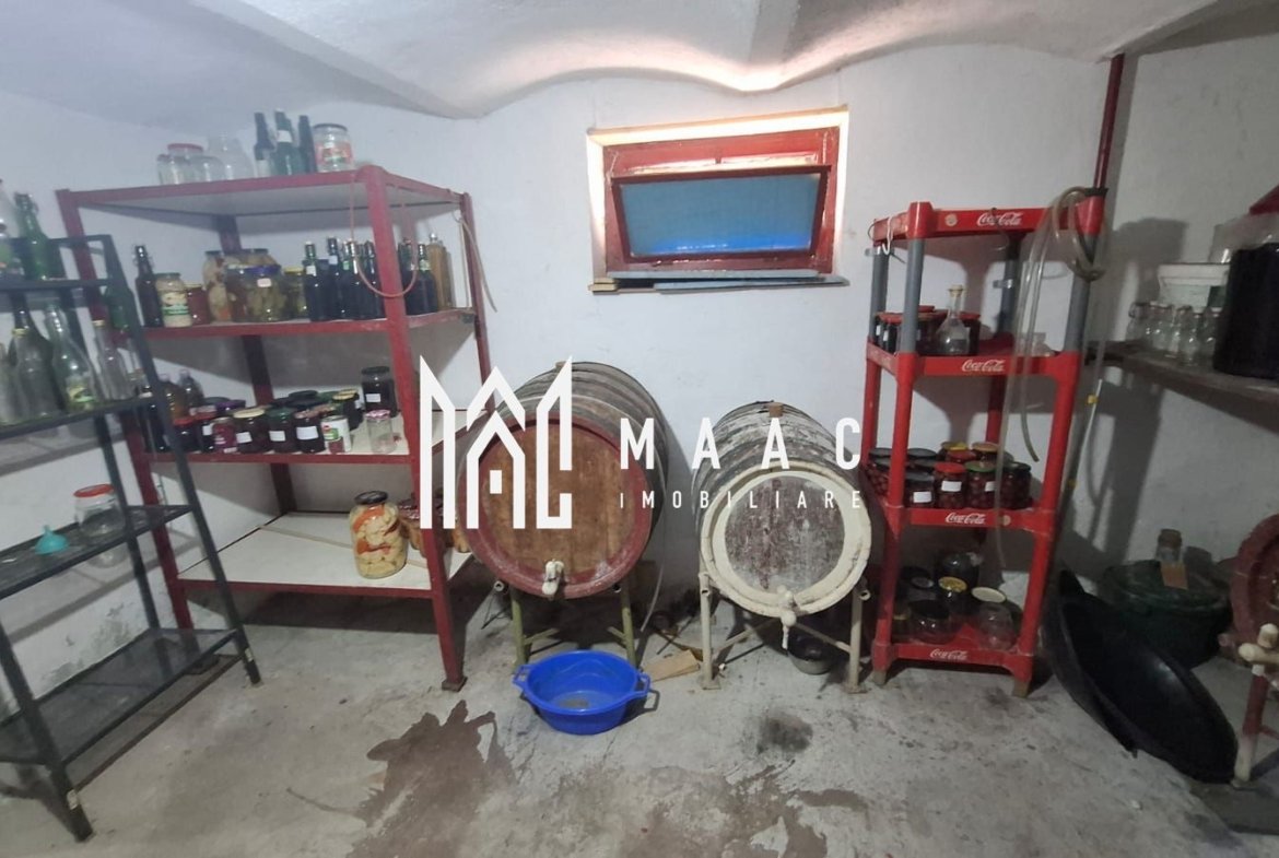 Casa individuala 4 camere I Teren 1300 mp I Garaj- Gusterita