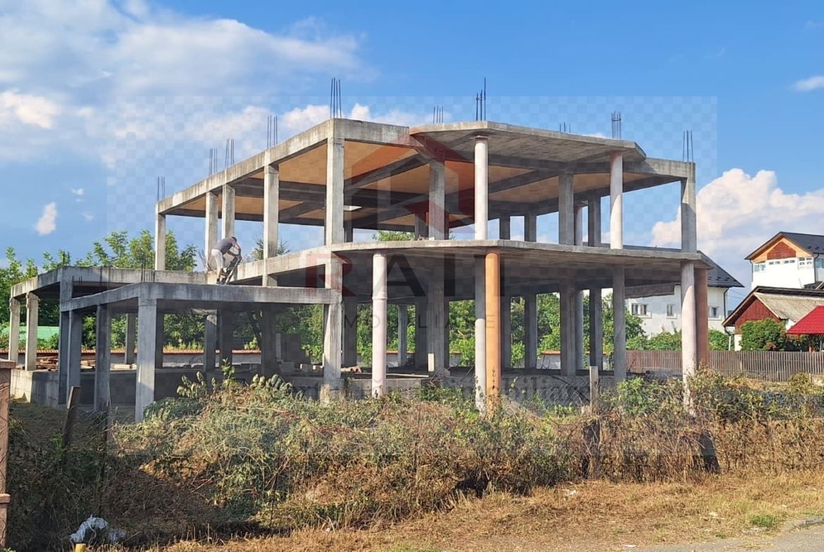 Constructie structura beton armat 810 MPC Curtea de Arges