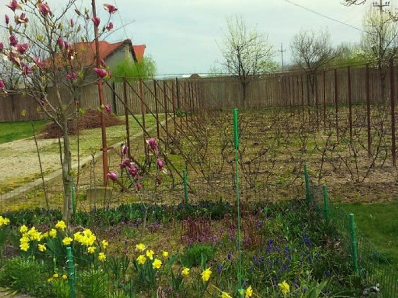 Ciopani vila 5 camere teren 4000 mp