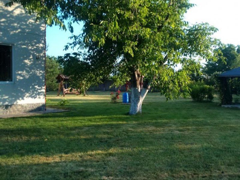 Ciopani vila 5 camere teren 4000 mp