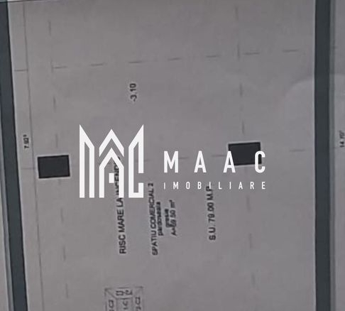 Spațiu comercial | 79MPU | Vad Pietonal | Turnisor