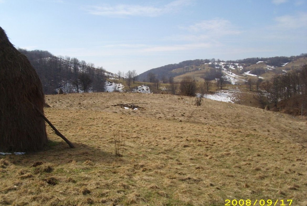 Teren intravilan Rosia, 12 000 mp, cu proiect aprobat. Comision 0.