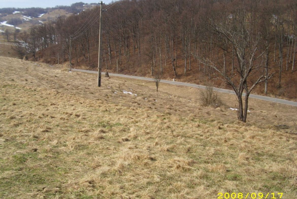 Teren intravilan Rosia, 12 000 mp, cu proiect aprobat. Comision 0.