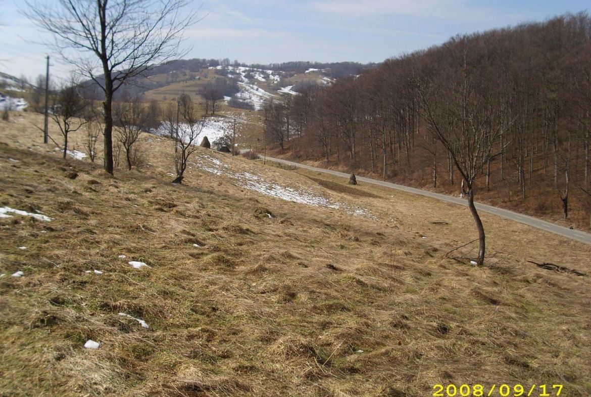Teren intravilan Rosia, 12 000 mp, cu proiect aprobat. Comision 0.