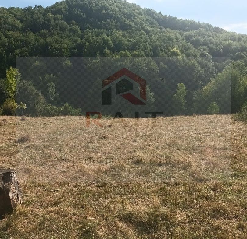 Teren de vanzare Coebeni-Turburea-Arges