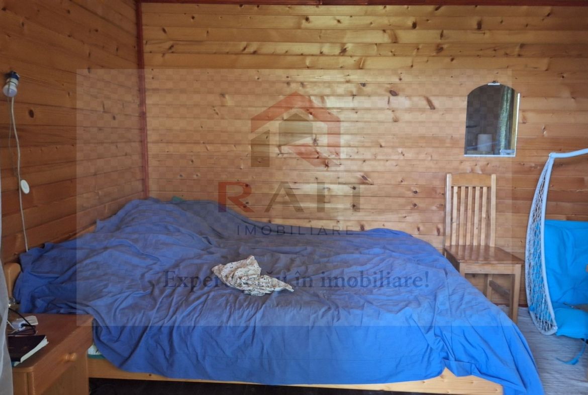 VANZARE ANSAMBLU CASUTE BRADULET ARGES