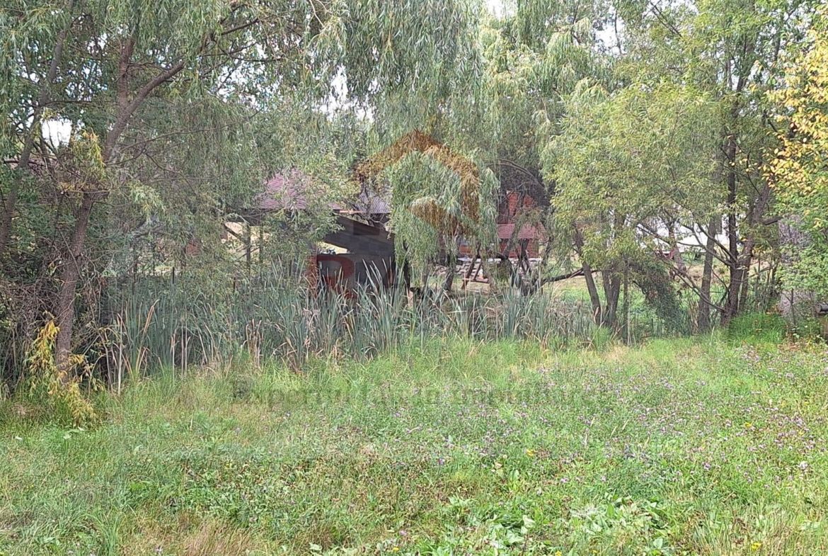 VANZARE ANSAMBLU CASUTE BRADULET ARGES