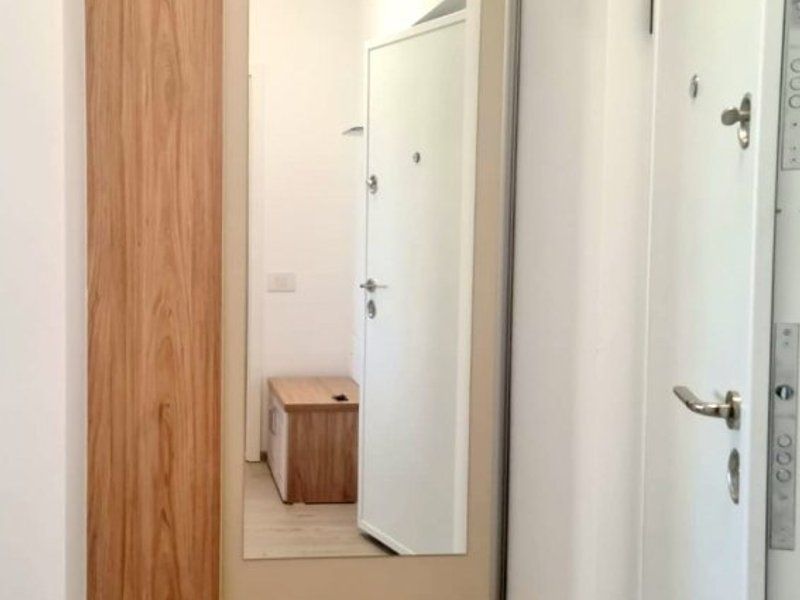 Apartament cu 2 camere, mobilat si utilat – Roka Residence, Micro 17
