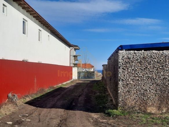 Teren Intravilan Vama Veche | 7.495 mp | Oportunitate Investiție