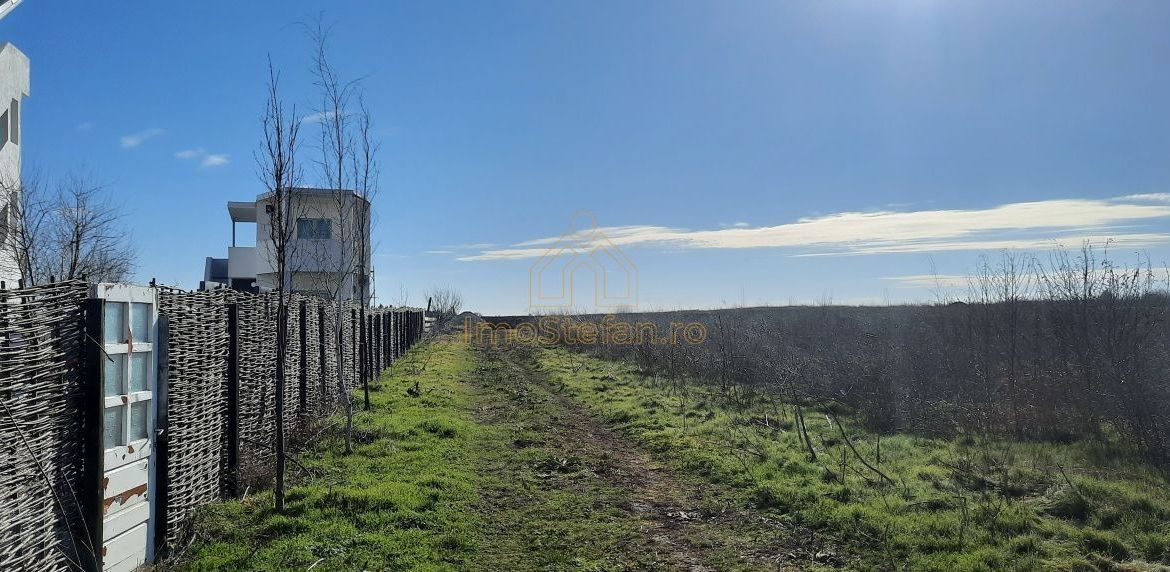 Teren Intravilan Vama Veche | 7.495 mp | Oportunitate Investiție