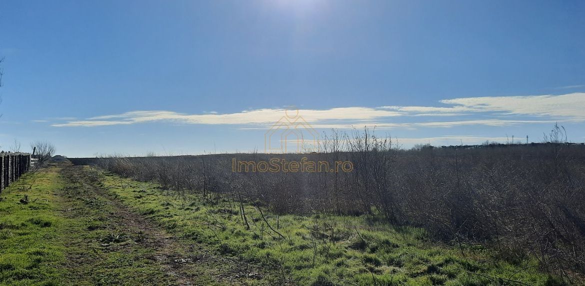 Teren Intravilan Vama Veche | 7.495 mp | Oportunitate Investiție