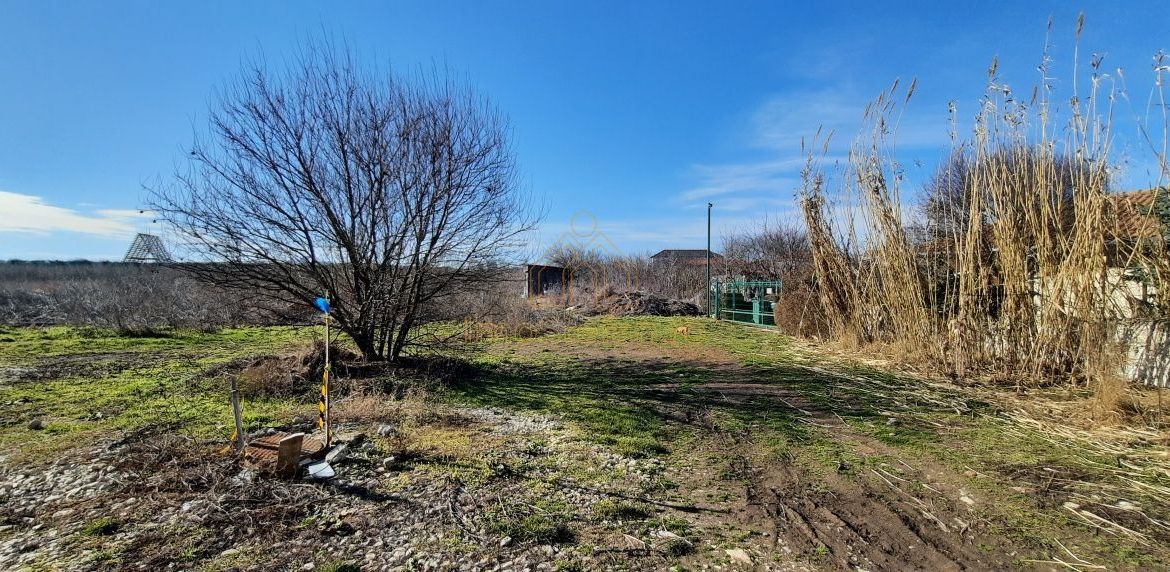 Teren Intravilan Vama Veche | 7.495 mp | Oportunitate Investiție