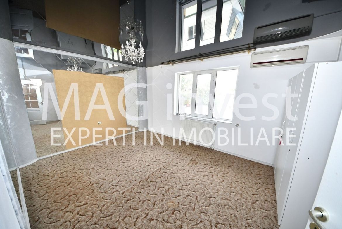 Exclusivitate – Vila P+2E – 15 camere, garaj – Mazepa 2, str. Al. Cernat