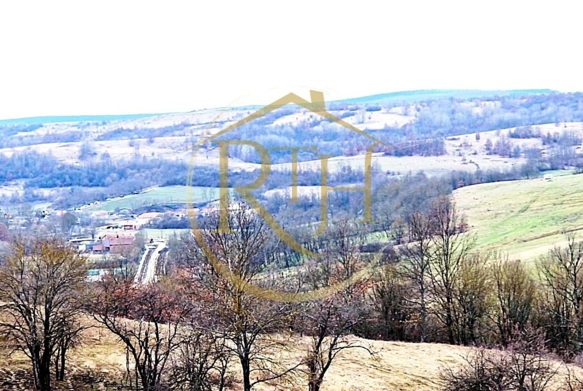 Terenuri extravilane de vânzare – Vizma & Crivobara, comuna Secaș, jud. Timiș