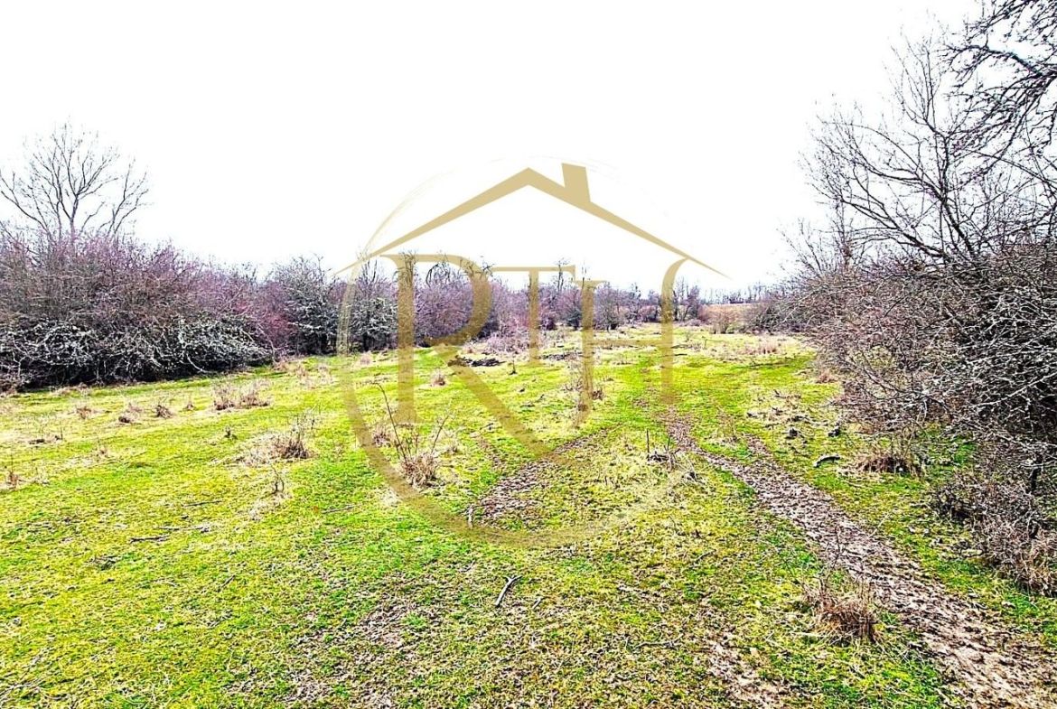 Terenuri extravilane de vânzare – Vizma & Crivobara, comuna Secaș, jud. Timiș