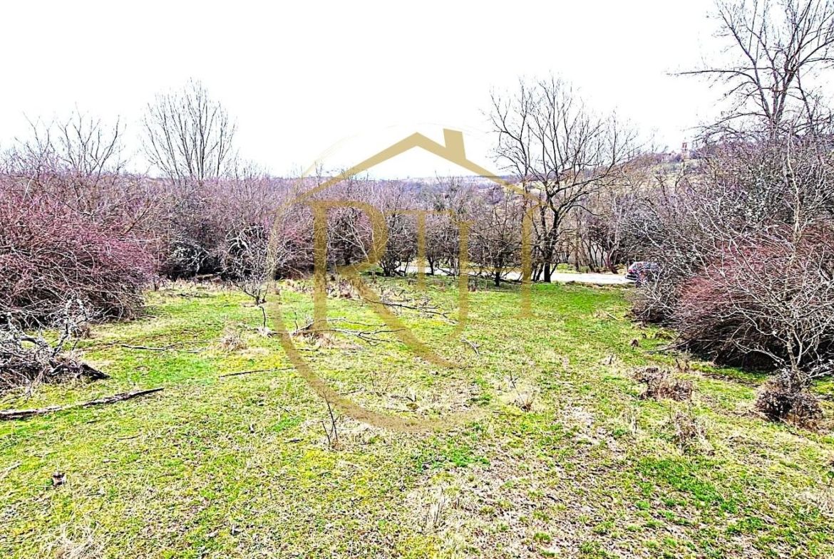 Terenuri extravilane de vânzare – Vizma & Crivobara, comuna Secaș, jud. Timiș