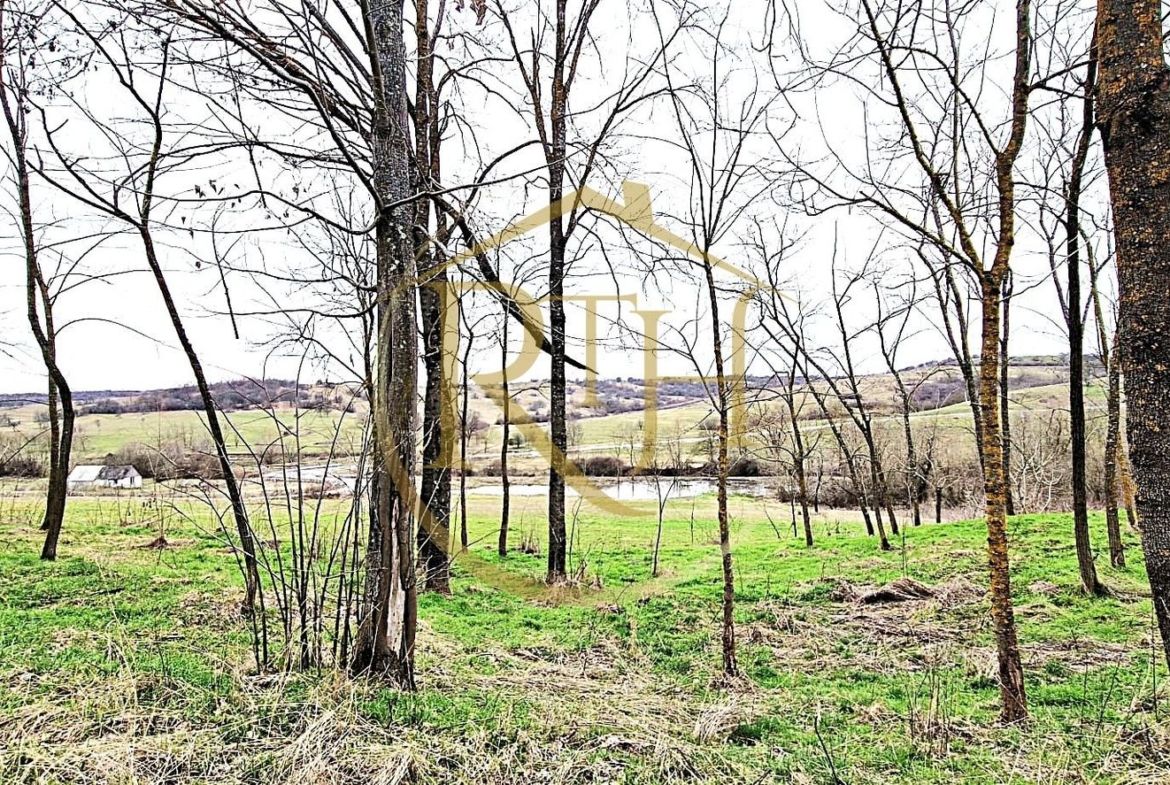 Terenuri extravilane de vânzare – Vizma & Crivobara, comuna Secaș, jud. Timiș