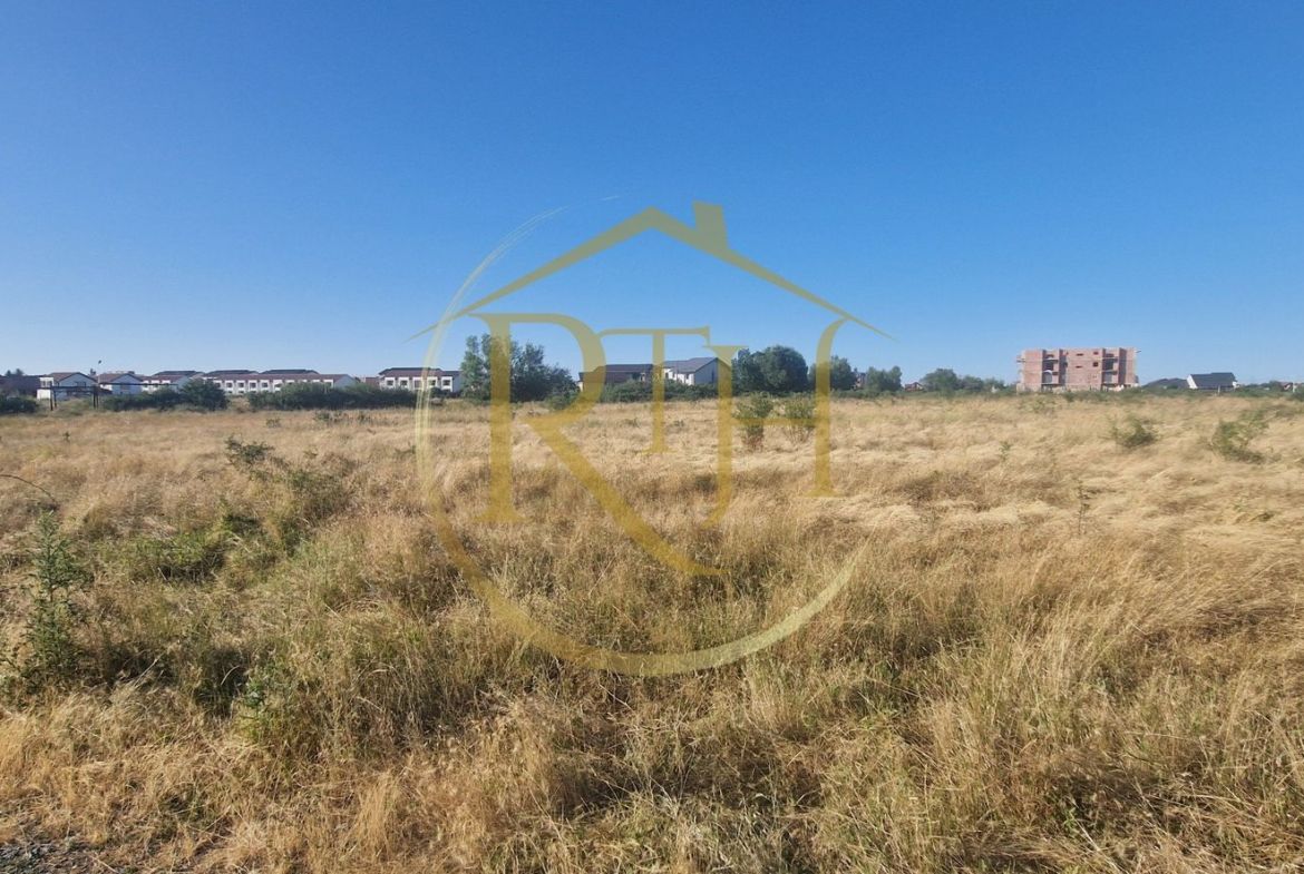 🏡 Teren intravilan de vânzare – Cartier Plopi, Timișoara (Zona de Sud)