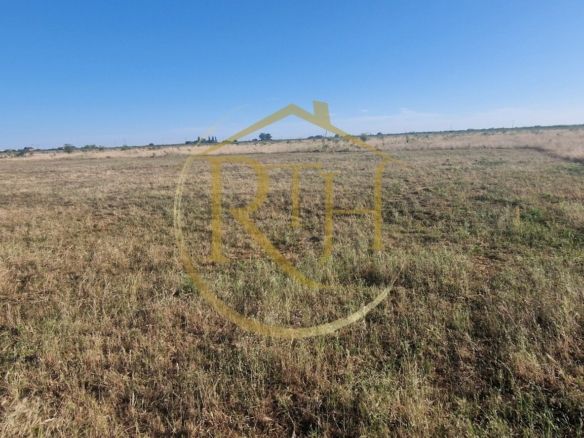 🏡 Teren intravilan de vânzare – Cartier Plopi, Timișoara (Zona de Sud)