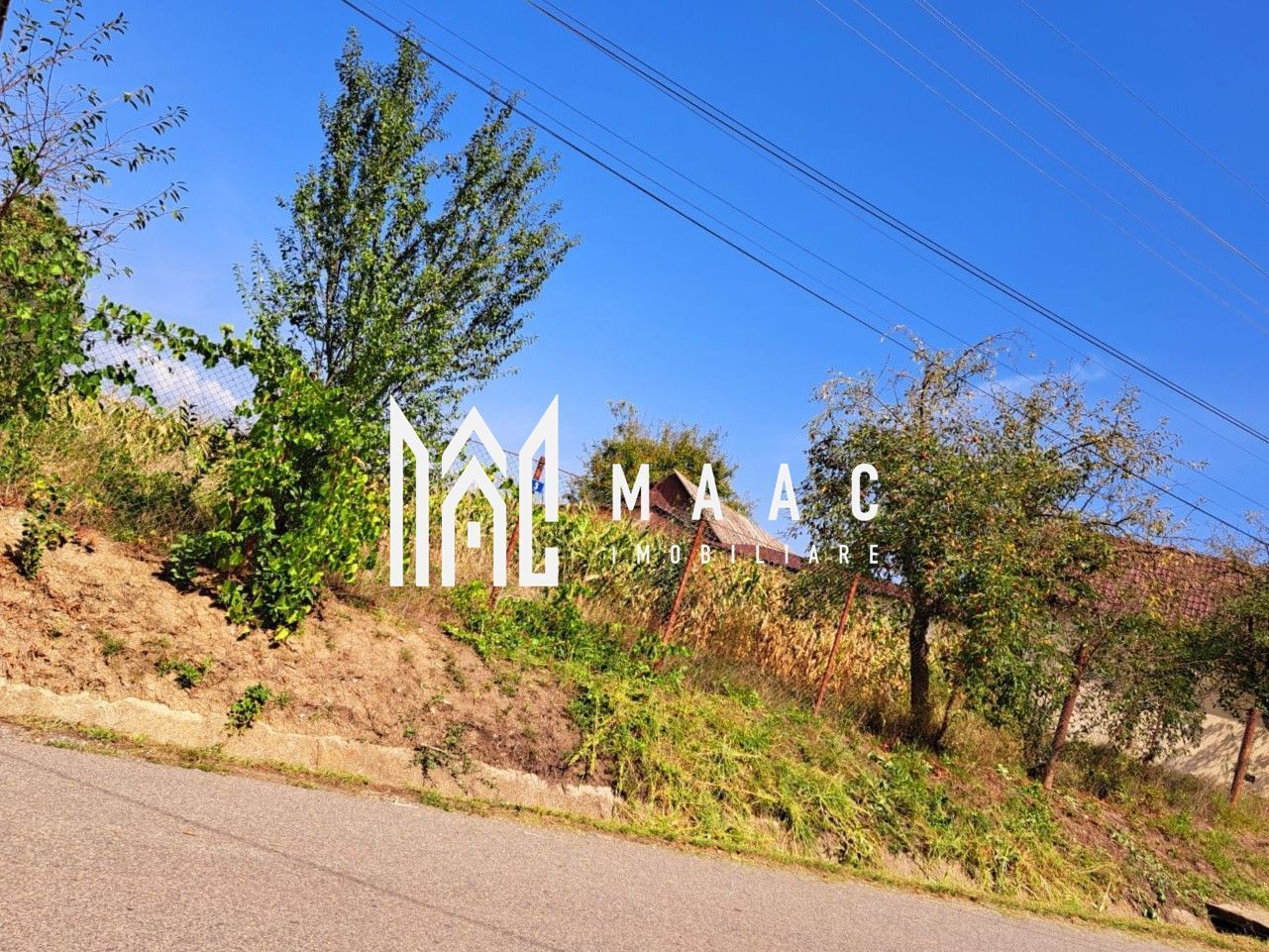 Casă cu teren generos | 18 km de Sibiu | 2400 mp teren | Anexe& Construcție noua