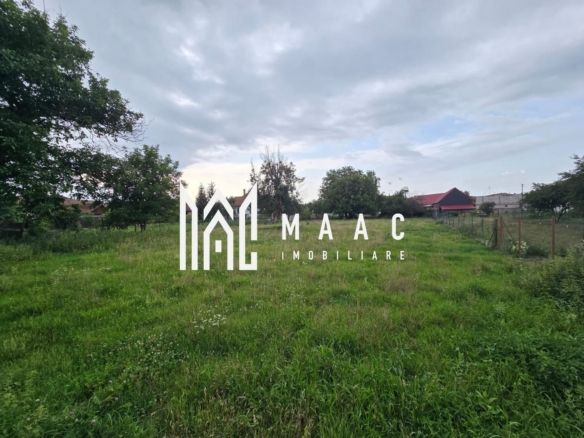 Casă 3 camere | Arpașu de Jos | 120 mp utili, teren 2600 mp, DN1