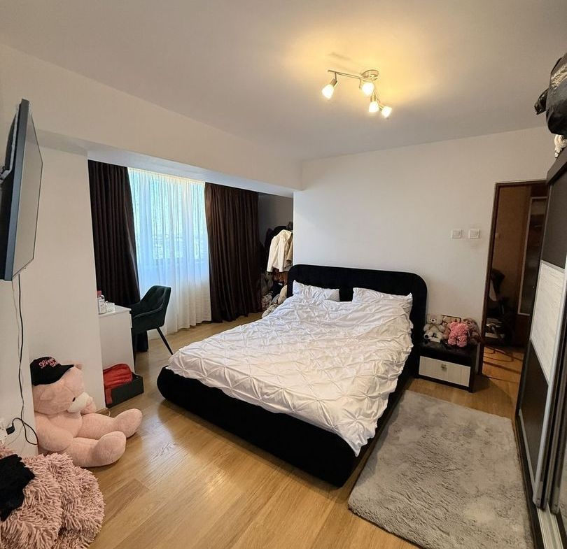 Apartament 4 camere, Strada Domnească
