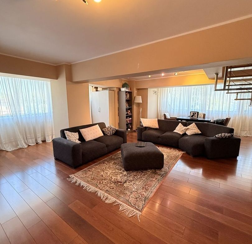Apartament 4 camere, Strada Domnească