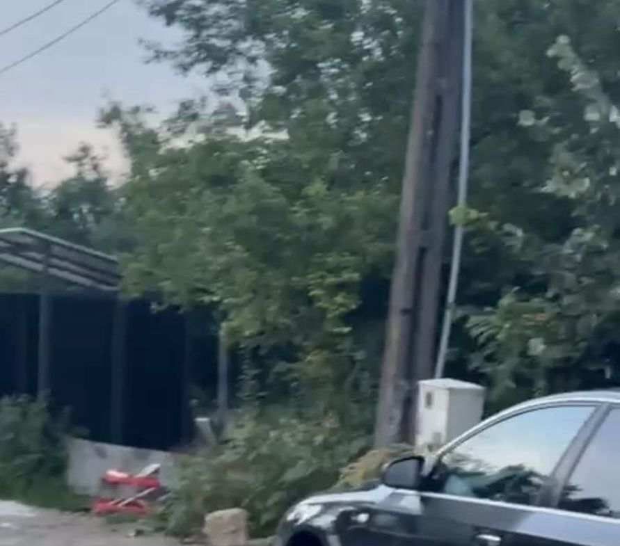 Ciolpani teren intravila 2500 mp de vanzare