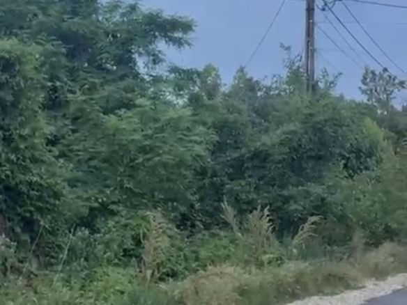 Ciolpani teren intravila 2500 mp de vanzare