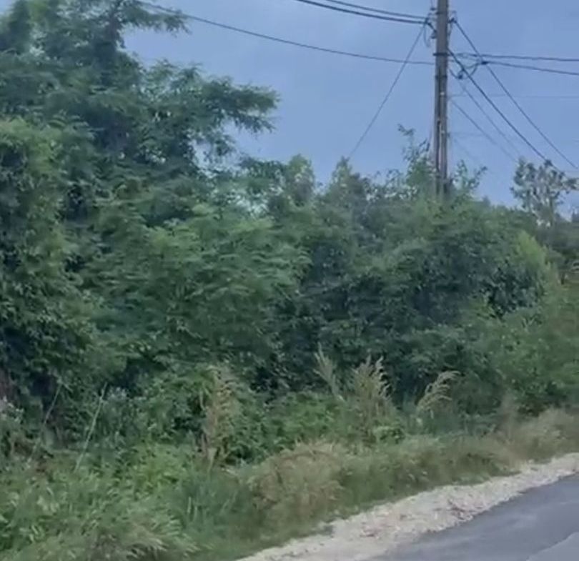 Ciolpani teren intravila 2500 mp de vanzare