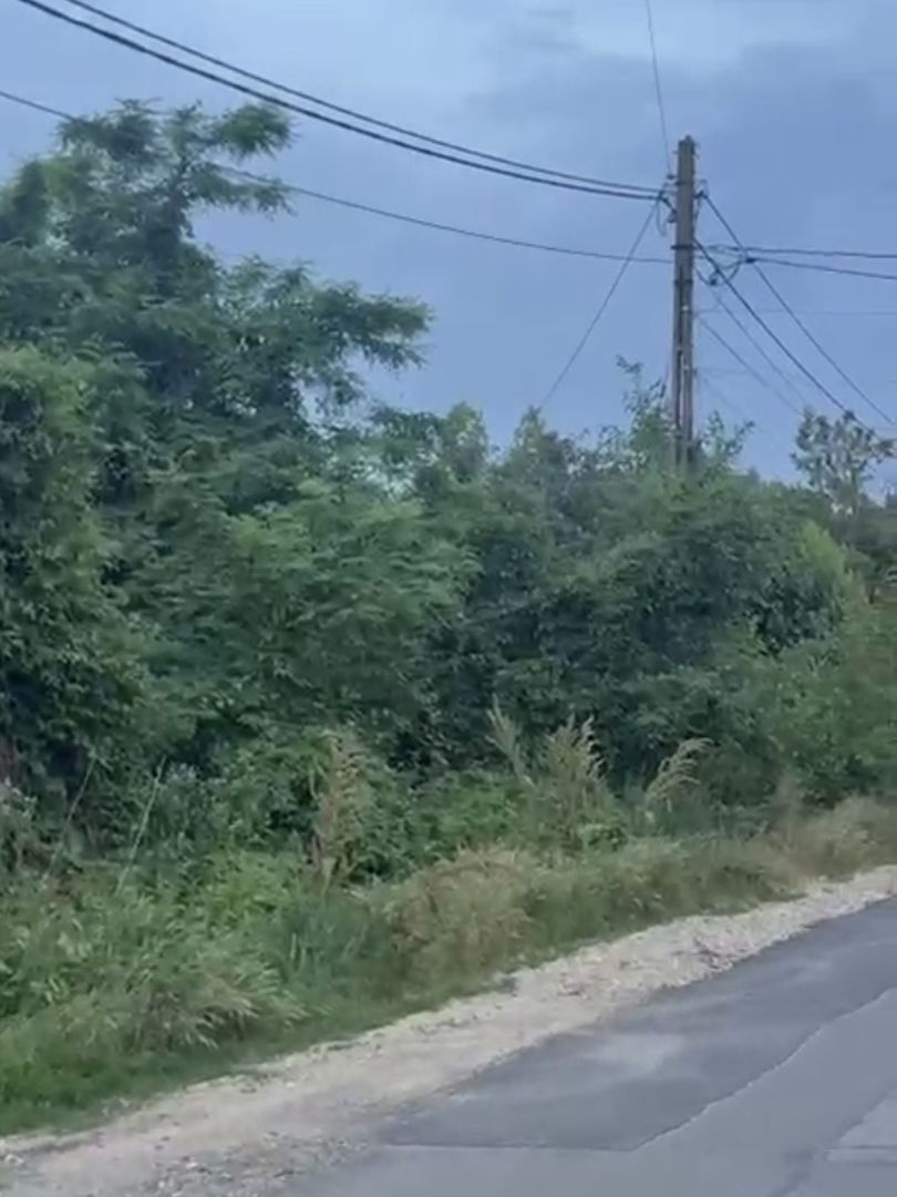 Ciolpani teren intravila 2500 mp de vanzare