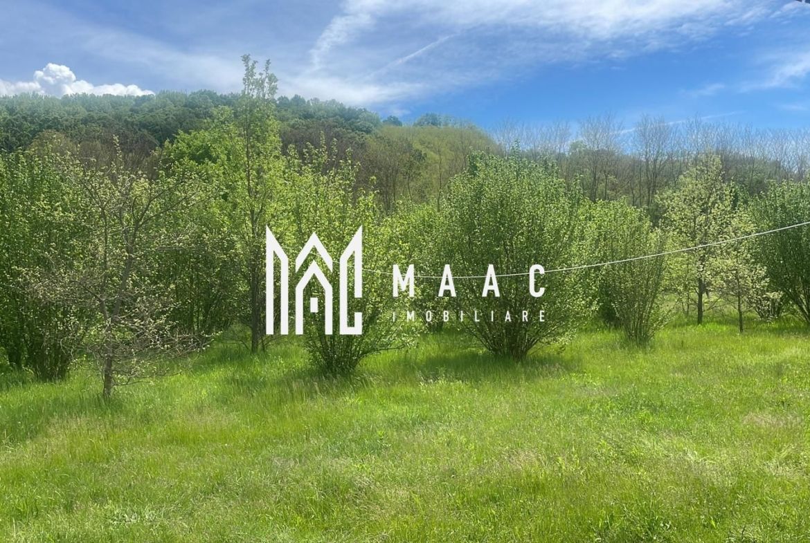 Teren extravilan 61.000 mp | Veseud, Sibiu | plantație aluni, trufe