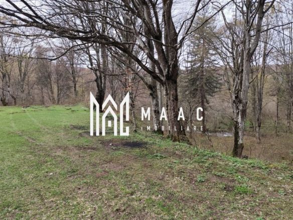 Teren Intravilan |2000Mp| Valea Avrigului