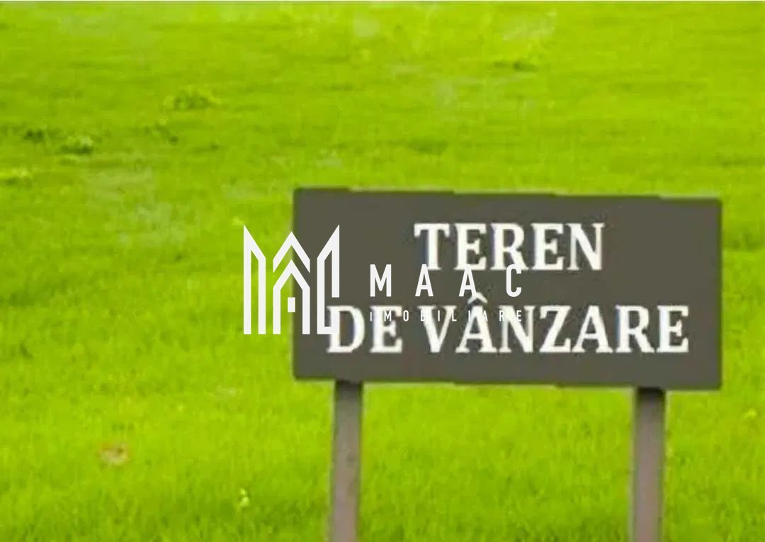 Teren montan | 6.043 Mp | Săliște