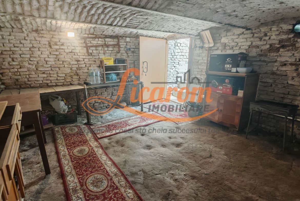 Casa 3 camere individuala SanpetrU,mobilata si utilata,128900 euro.