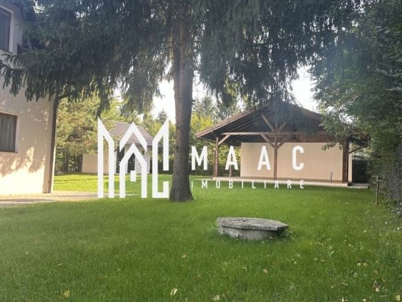 Oportunitate Valea Avrigului | Afacere la cheie |  Casa de vacanta |