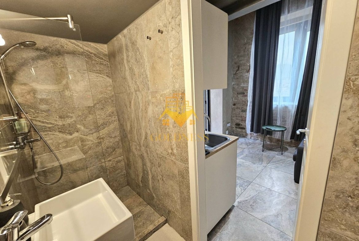 Studio tip loft, UltraCentral, Piața Muzeului, Piața Mihai Viteazul