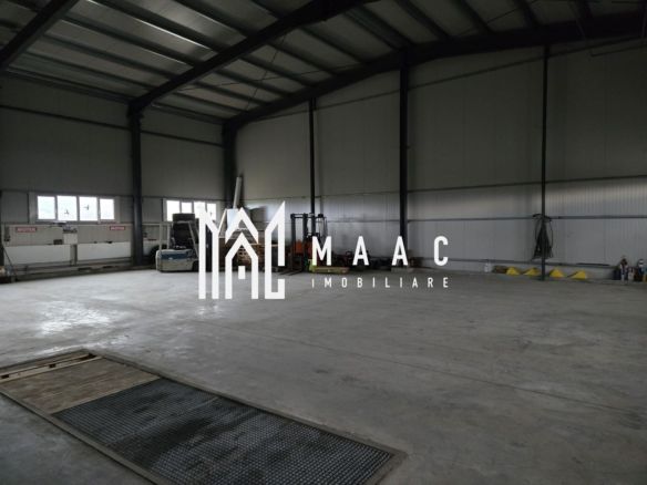 Hală cu Birouri și Teren 12.000 mp I De Vânzare I Bradu I Sibiu