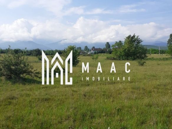 Teren  | Intravilan |5.000 MP | Valea Avrigului