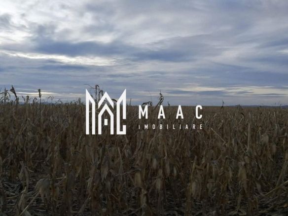 Teren intravilan I Zona Calea Surii Mici- Magnolia