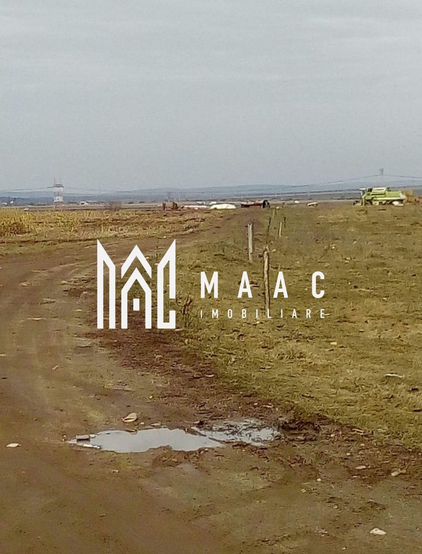 Teren intravilan I Zona Calea Surii Mici- Magnolia
