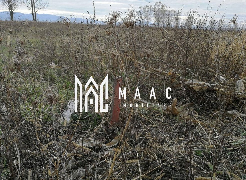 Teren intravilan I Zona Calea Surii Mici- Magnolia