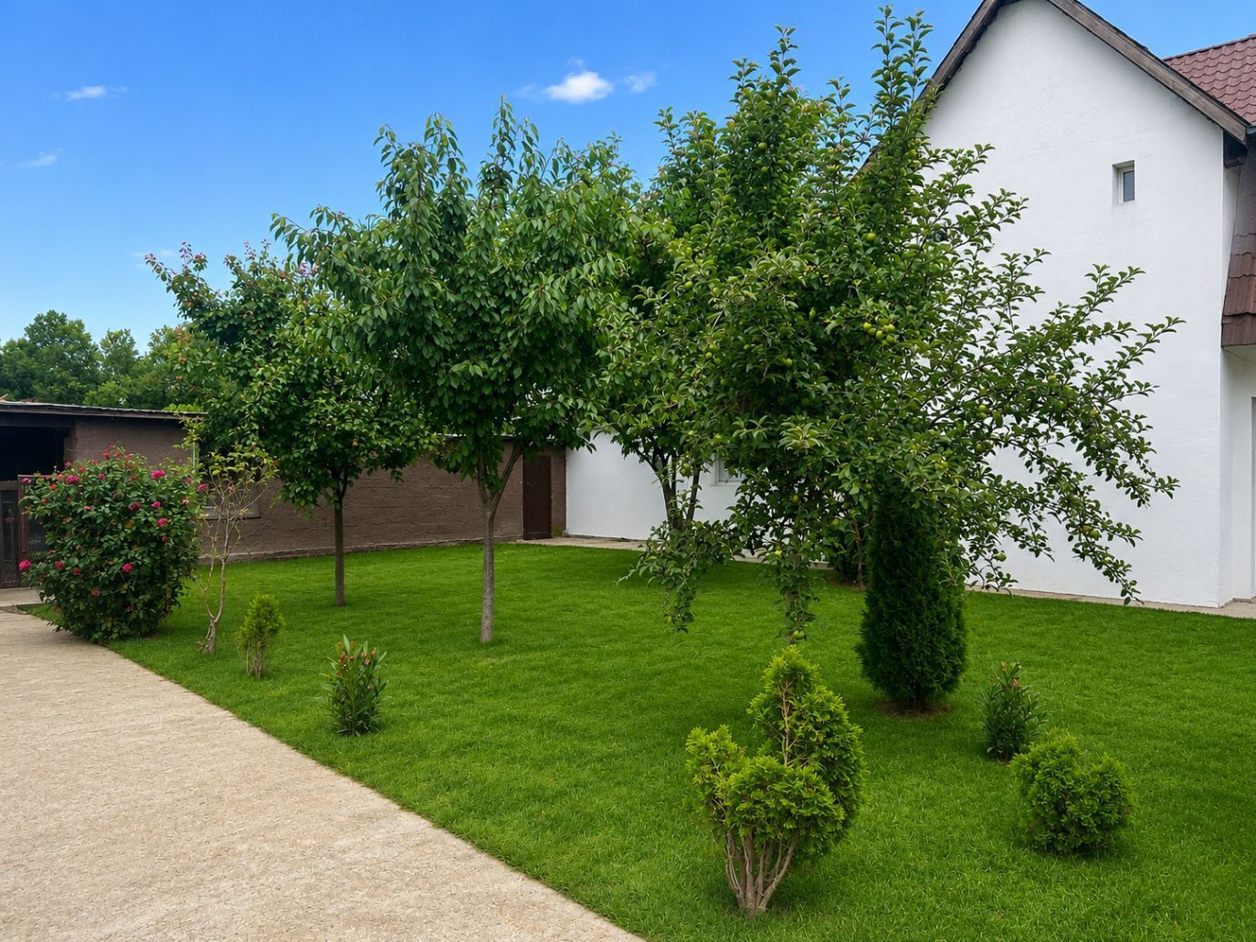 DUPLEX SANMIHAIU ROM