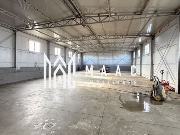 Hala Industrială | 300 MP | Calea Șurii Mici