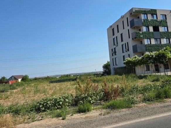 Teren Intravilan 4.390 mp – Lazu | Dublu Acces | 0% Comision