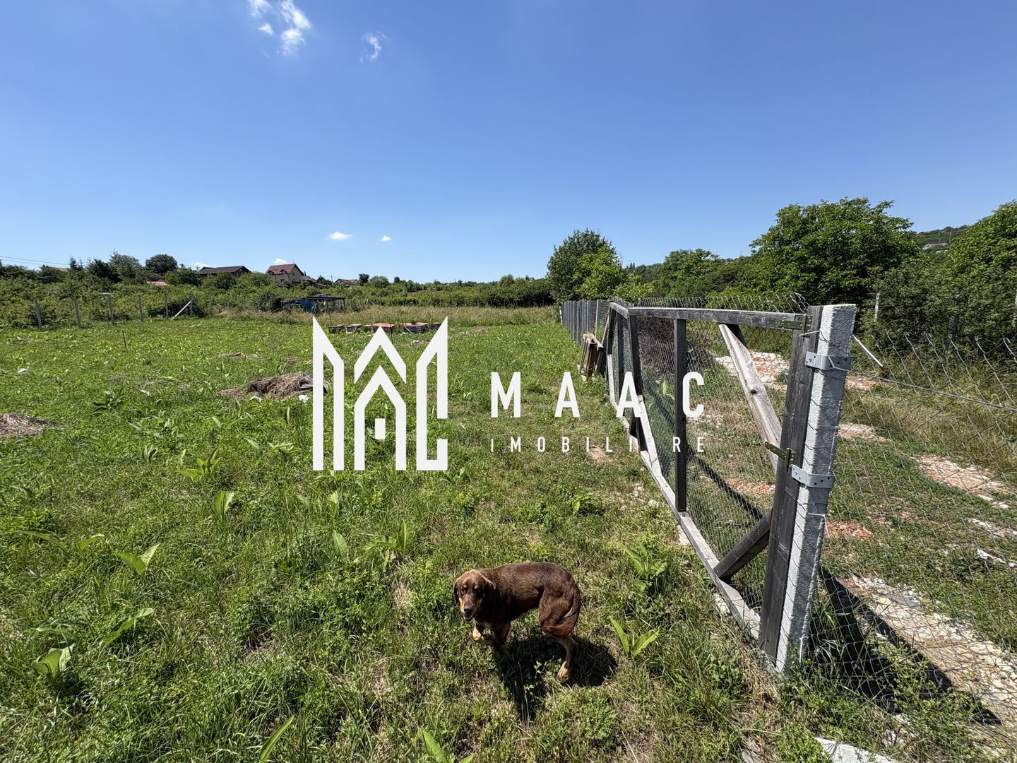 Teren intravilan 500 mp | Daia Nouă, Sibiu | acces facil, utilități în apropiere