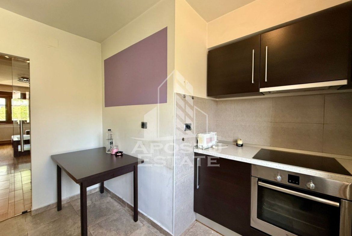 Apartament 4 camere si garaj de vanzare, etaj 1, Medicina Timisoara