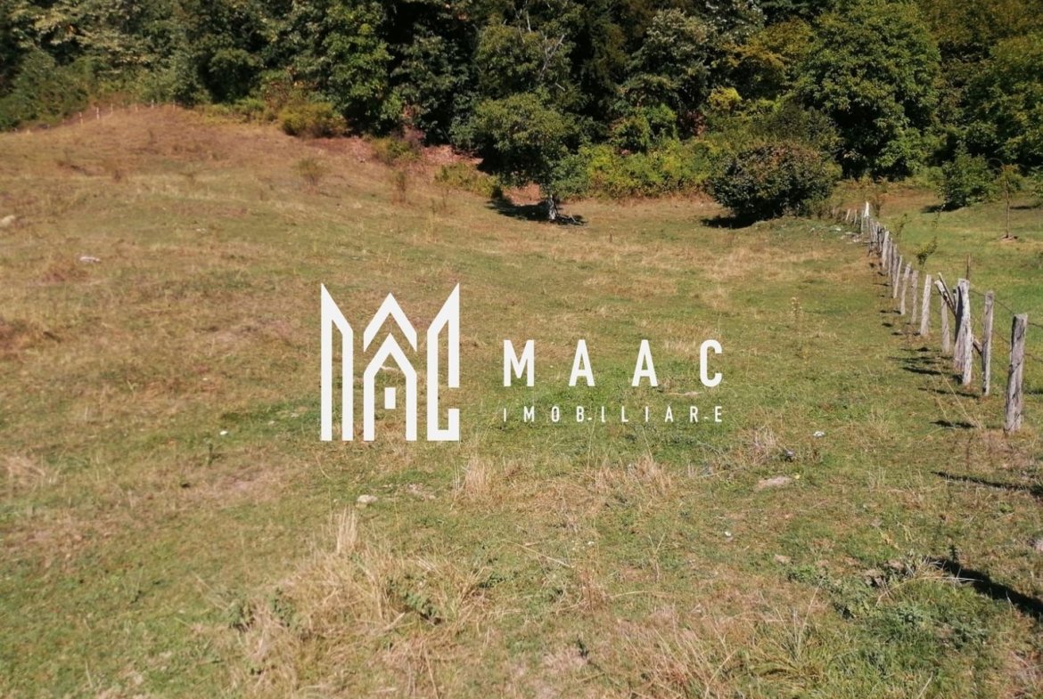 Teren Extravilan 20.000Mp I Stoenești -Vâlcea I Apă Curentă și Pădure