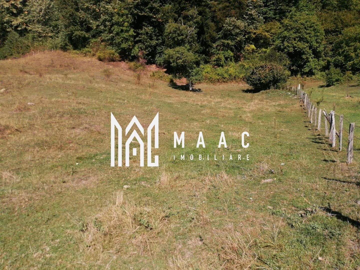 anBn-2877 Teren Extravilan 20.000Mp I Stoenești -Vâlcea I Apă Curentă și Pădure